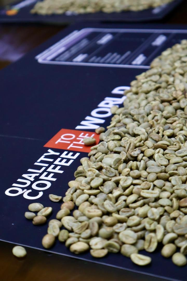 Understanding SCA Cupping Protocols for Coffee Evaluation