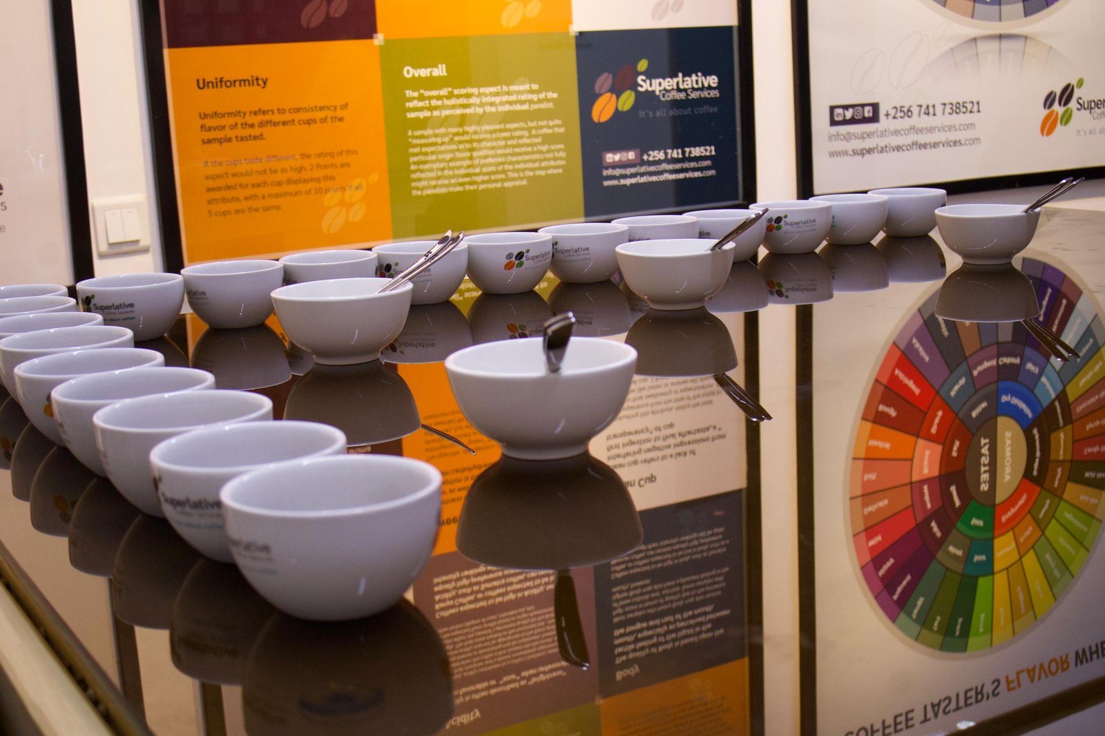 CONTAMINATION FREE ENVIRONMENT.