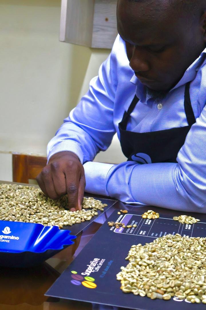 GREEN COFFEE ANALYSIS / QUALITY CONTROL