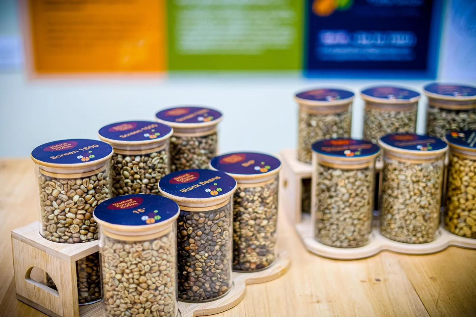 GREEN COFFEE SOURCING